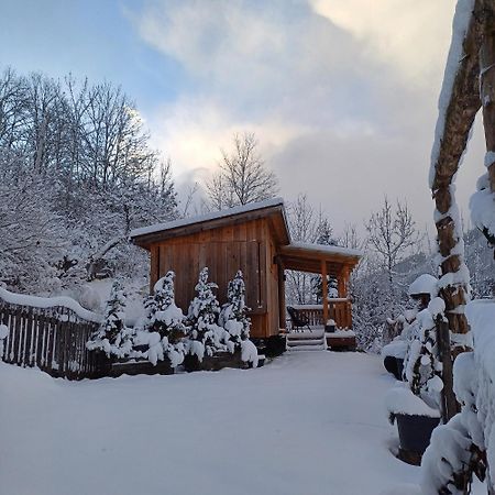 فندق Tiny House Am Steinergut رادستادت المظهر الخارجي الصورة