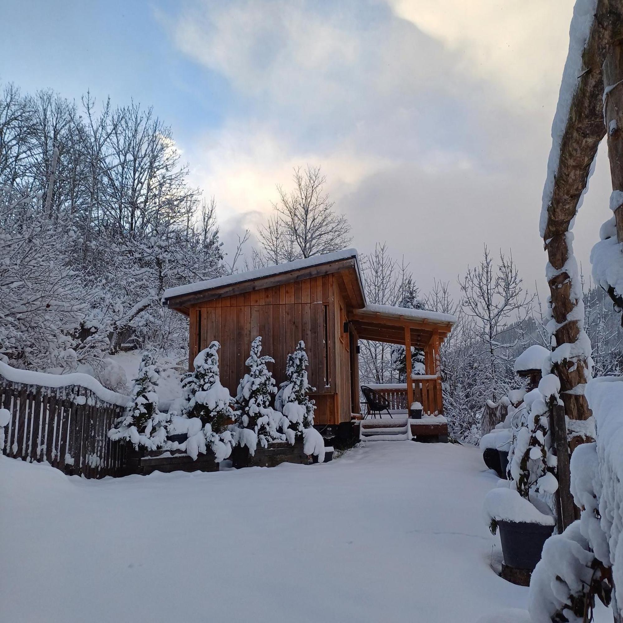 فندق Tiny House Am Steinergut رادستادت المظهر الخارجي الصورة